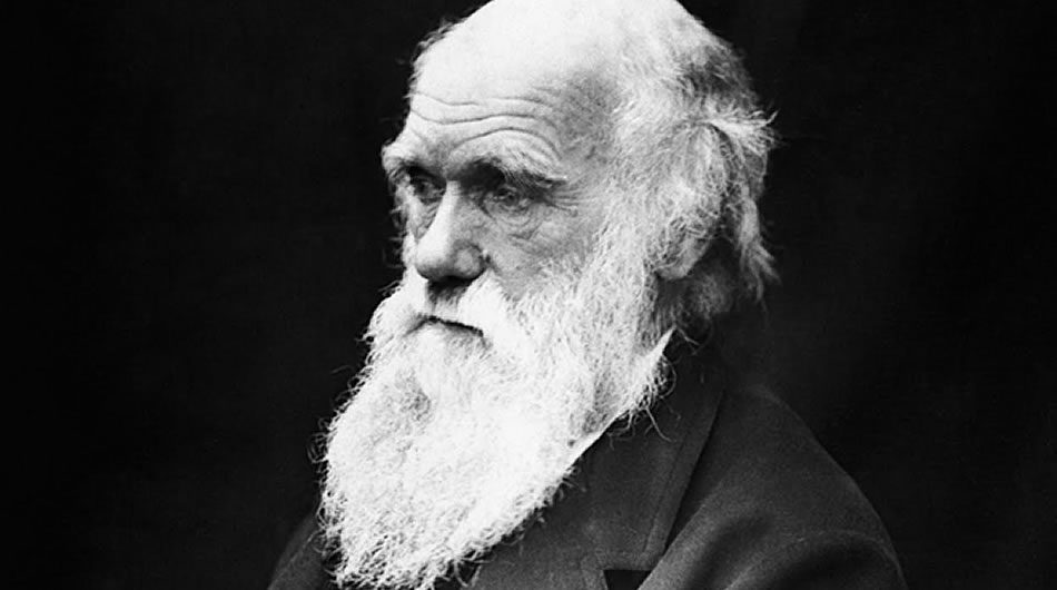 Image source: <a href="http://es.wikipedia.org/wiki/Archivo:Charles_Darwin_01.jpg">Wikipedia </a>