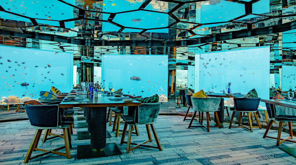 Restaurant surrounded by an aquarium